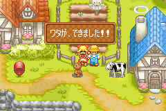 Daisuki Teddy